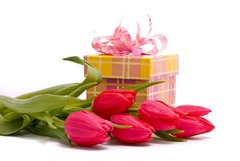 Фотообои Красные тюльпаны и подарок