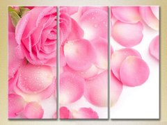 Триптих Розовая роза и лепестки_01