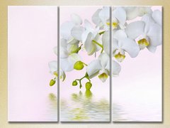 Триптих Белая орхидея_02