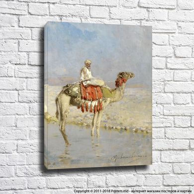 Рубенс Санторо Пересечение реки на верблюде
