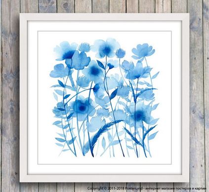 Постер голубые полевые цветы, акварель