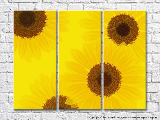 Abstracție florală de floarea soarelui pe un fundal galben