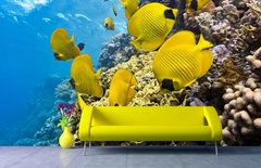 Желтые рыбки на коралловых рифах