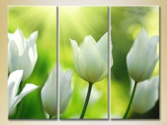 Триптих Белые тюльпаны