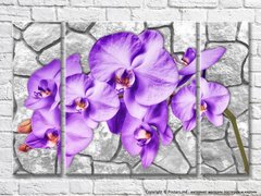 Ветка сиреневой орхидеи на каменном фоне