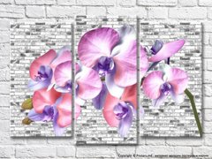 Ветка лиловой орхидеи на кирпичном фоне