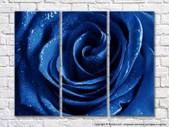 Триптих синяя роза