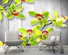 Салатовые орхидеи на сером дощатом фоне