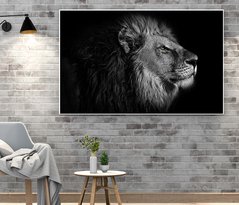 Портрет красивого и гордого льва, монохром