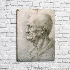 Capul bătrânului, Da Vinci