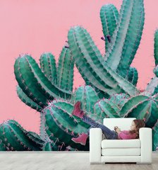 Cactus de smarald pe fundal roz