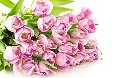 Фотообои Букет розовых тюльпанов на полу