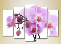 Полиптих Орхидеи сиреневые с бутонами_05