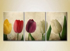 Триптих Разноцветные тюльпаны
