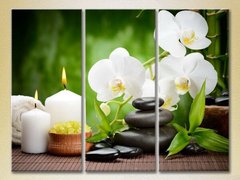 Триптих Белые орхидеи и бамбук