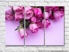 Букет розовых роз на светлом фоне