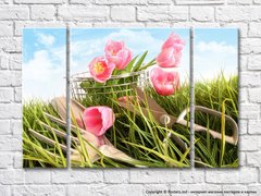 Розовые тюльпаны и садовые ножницы