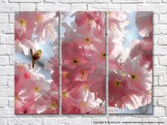 Триптих цветение сакуры