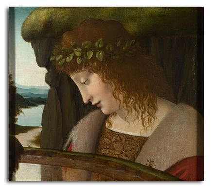 Ученик Леонардо да Винчи. Нарцисс