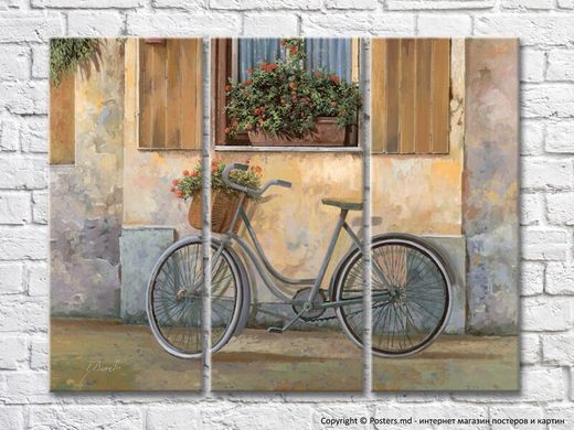 Bicicletă cu coș lângă fereastra 001