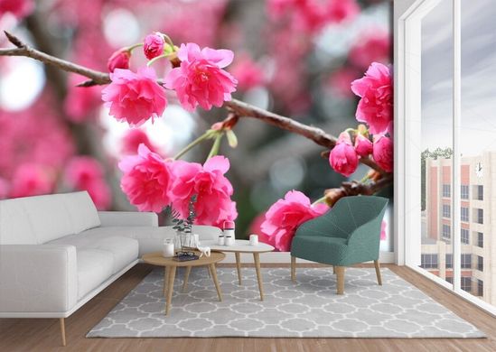 Ветка цветущей розовой сакуры