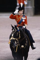 Fototapet Regina Elisabeta pe cal, Londra