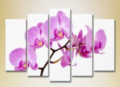 Полиптих Орхидеи сиреневые_03