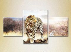 Триптих Леопард на бревне