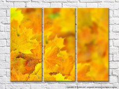 Абстракция из желтой осенней листвы
