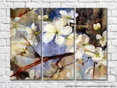 Белые цветы сакуры на фоне ветвей-рисунок