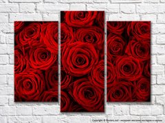 Триптих из бордовых роз