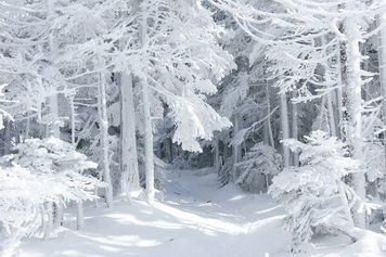 Природа, пейзажи_44