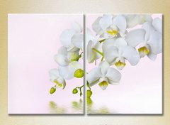 Диптих Белая орхидея