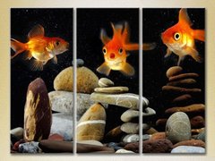 Triptic Goldfish_02