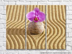 Цветок орхидеи на камне на фоне песка