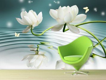 Крупные белые лотосы и бабочки на фоне воды