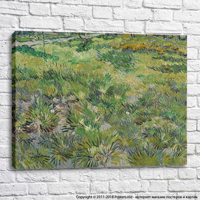 Vincent van Gogh Iarbă lungă cu fluturi