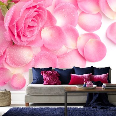 Лепестки розовых роз с каплями росы