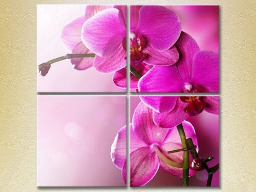 Полиптих Фиолетовые орхидеи