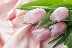 Фотообои Тюльпаны на ткане