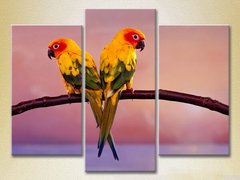 Триптих Два попугая_01
