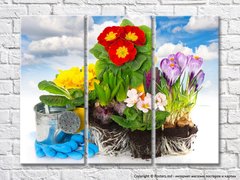 Compoziție de grădină cu flori colorate de primăvară