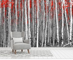 Pădure de mesteacăn cu frunziș roșu aprins