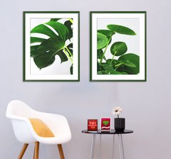 Ярко зеленые листья тропических растений