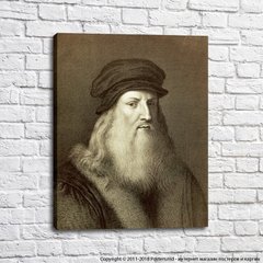 Autoportret, sepia, Leonardo da Vinci