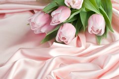 Фотообои Букет розовых тюльпанов на шелке