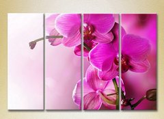 Полиптих Фиолетовые орхидеи_01