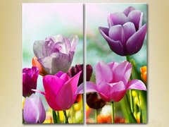 Диптих Поле разноцветных тюльпанов