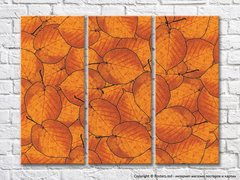 Абстракция из оранжевой осенней листвы