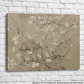 Vincent Van Gogh, Flori de migdal_monocrom